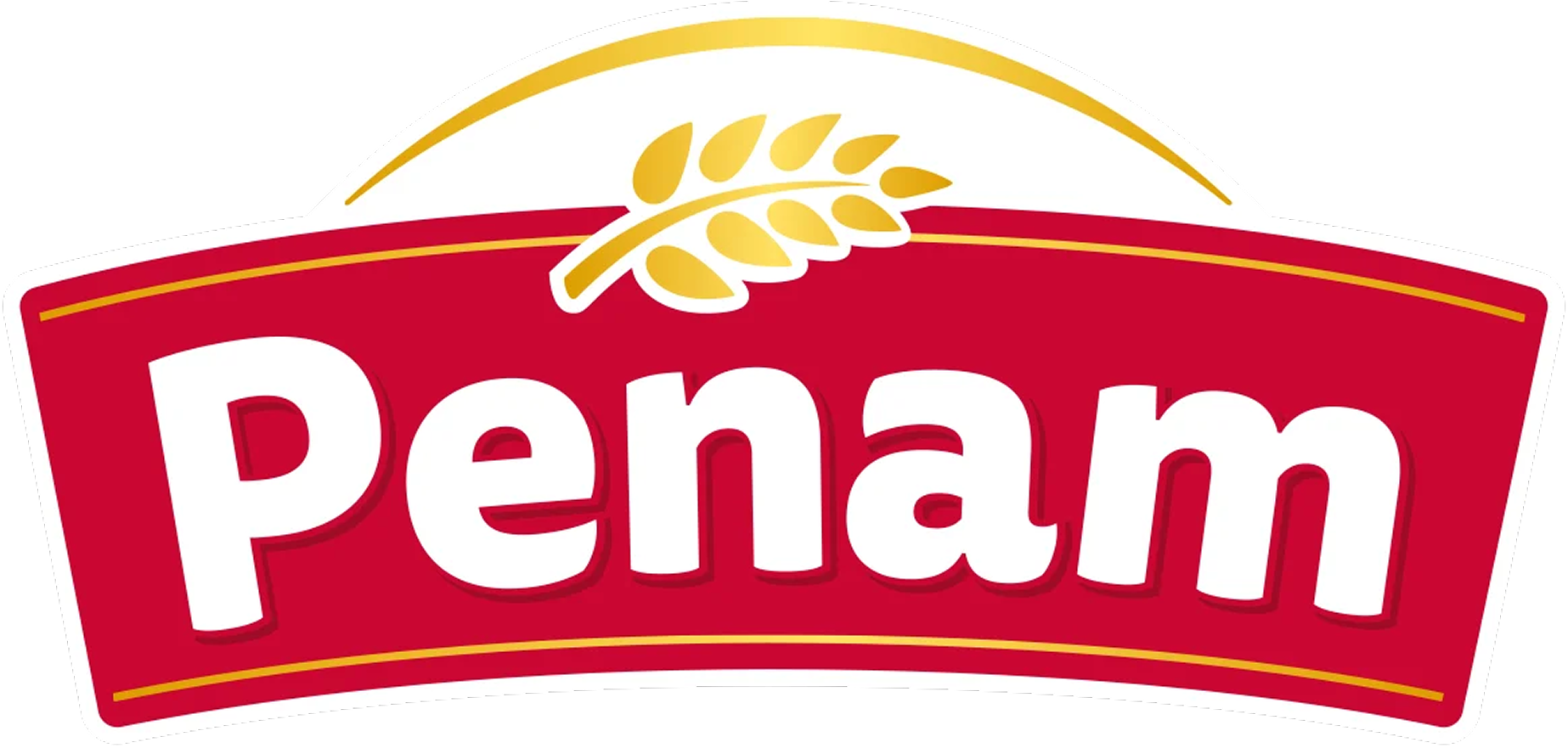 LOGO: Penam